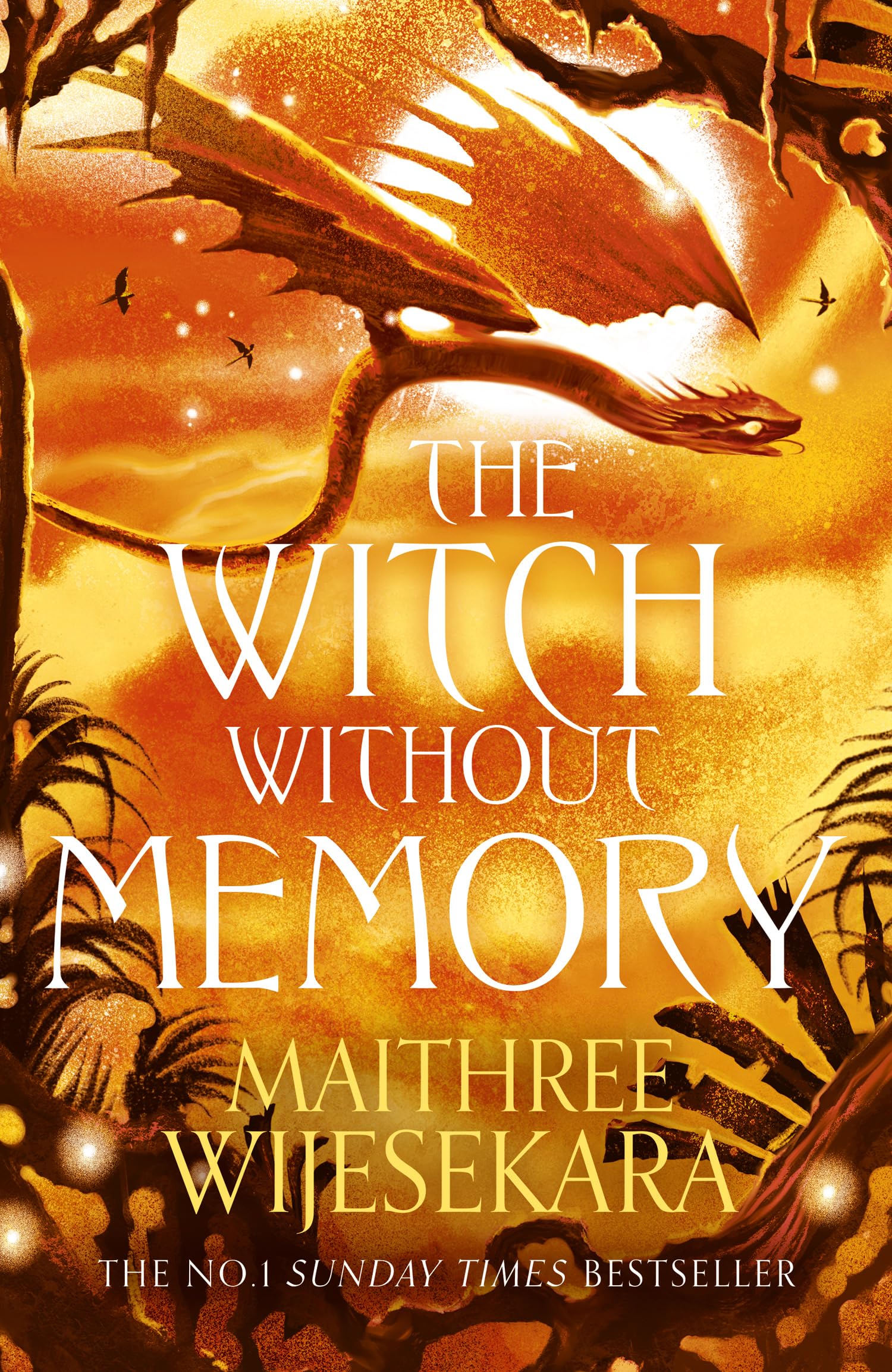 The Witch Without Memory: The epic and enthralling sequel to the instant No.1 Sunday Times bestselling fantasy THE PRINCE WITHOUT SORROW: Book 2 (Obsidian Throne)