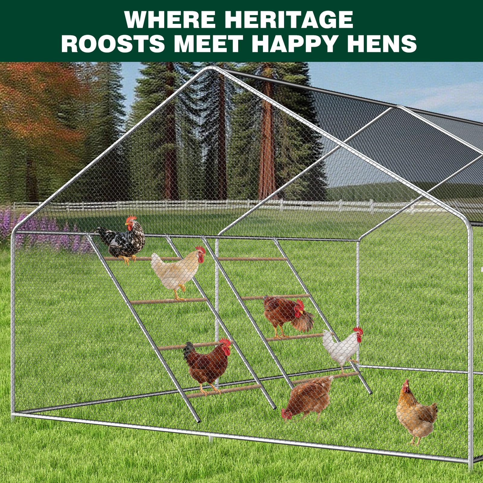Percha de pollo para gallinero, barras de gallina, juguetes de granja, escalera de gallo para aves de corral, paquete de 2 (58 pulgadas de largo x 32 pulgadas de ancho)