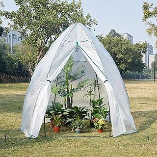 [en.casa] Gewächshaus Hunze Foliengewächshaus zur Anzucht Überwinterungszelt mit Reißverschluss Frühbeet PE-Plane Tomatengewächshaus Pflanzenschutz 200x240cm Weiß