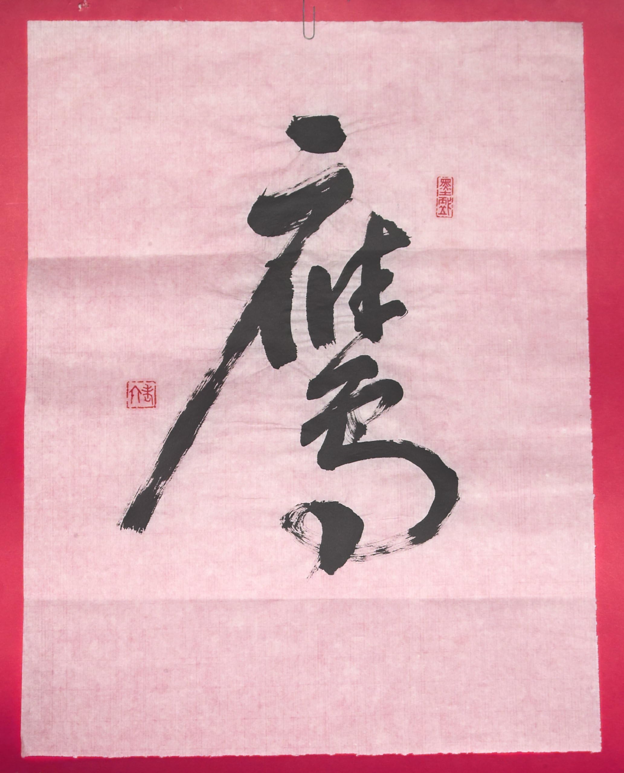 Hand Written Chinese Calligraphy on Rice Paper "YING“ - Eagle 14x18