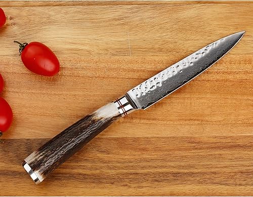 Vista 29 de SUNLONG Cuchillo Santoku de Damasco de 7 pulgadas, cuchillo de chef profesional, japonés de 67 capas, acero de Damasco de alto carbono, mango