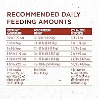 Vista 11 de Purina ONE SmartBlend Natural Peso saludable, fórmula para adulto, alimentos secos para perros y comida húmeda para perros