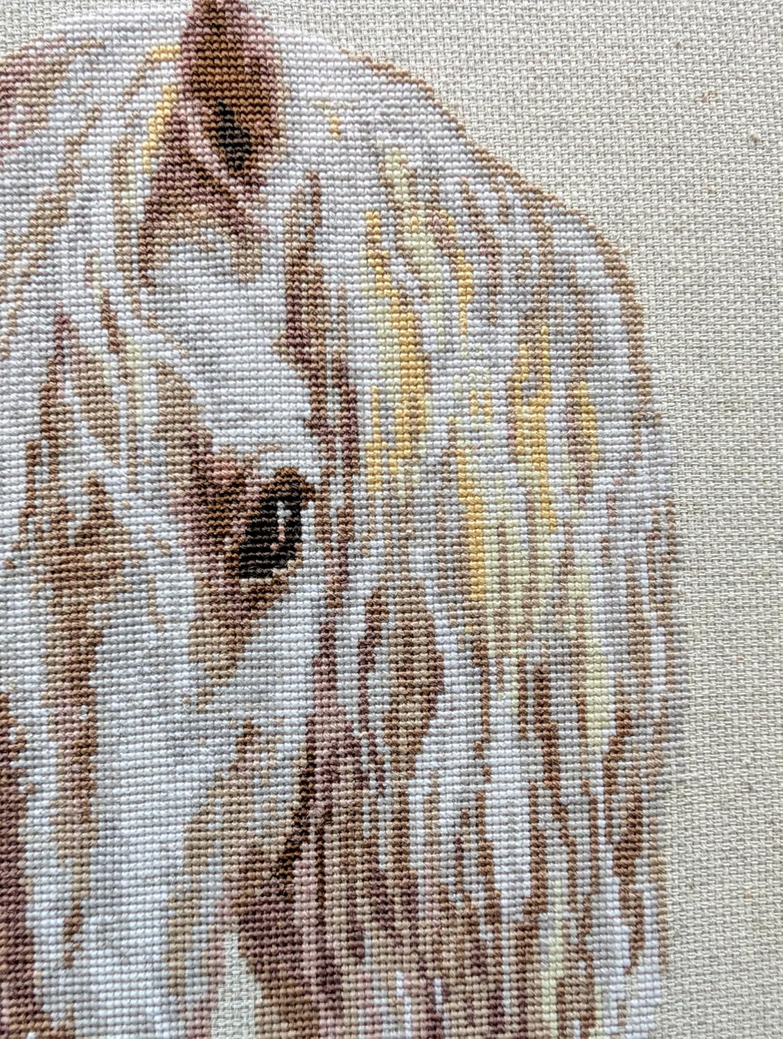 RIOLIS - Moon 827, Counted Cross Stitch Kit 9,45" x15,75, Horse Embroidery Kit, Cross Stitch Patterns for Adults with Horse, Cross Stitch Kits for Adults Advanced & Beginners