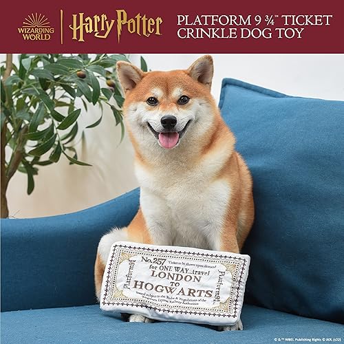 Vista 101 de Harry Potter Bertie Botts - Juguete para mascotas de Bertie Botts Jelly Bean Burrow de 10 pulgadas Juguete para perros Bertie Botts Jelly Beans