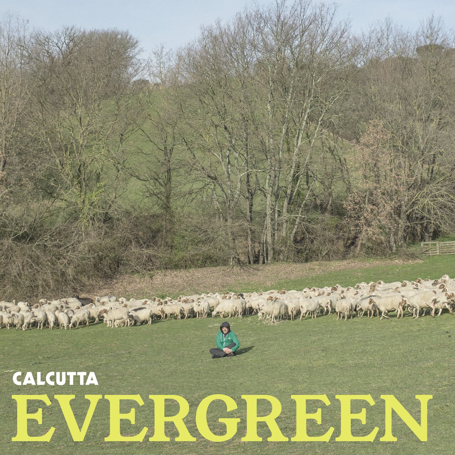 Evergreen - [Vinile Verde Trasparente]
