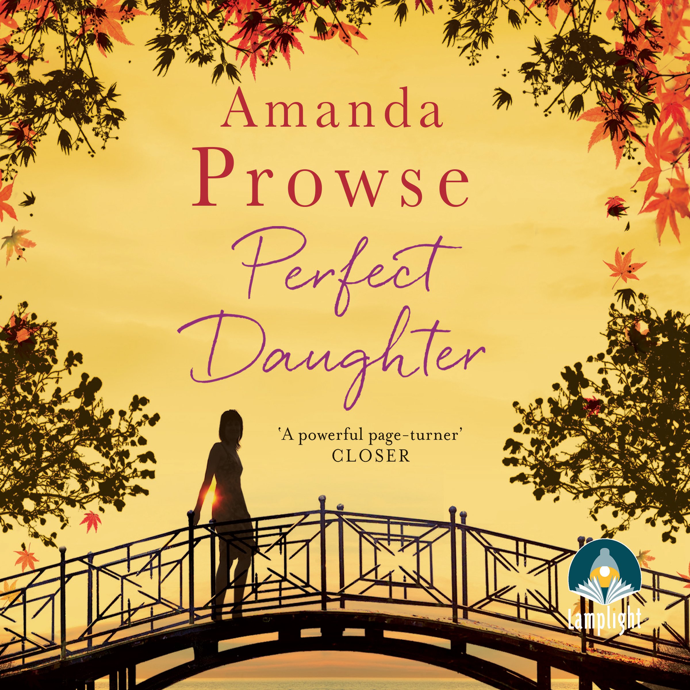 Cover art for Perfect Daughter