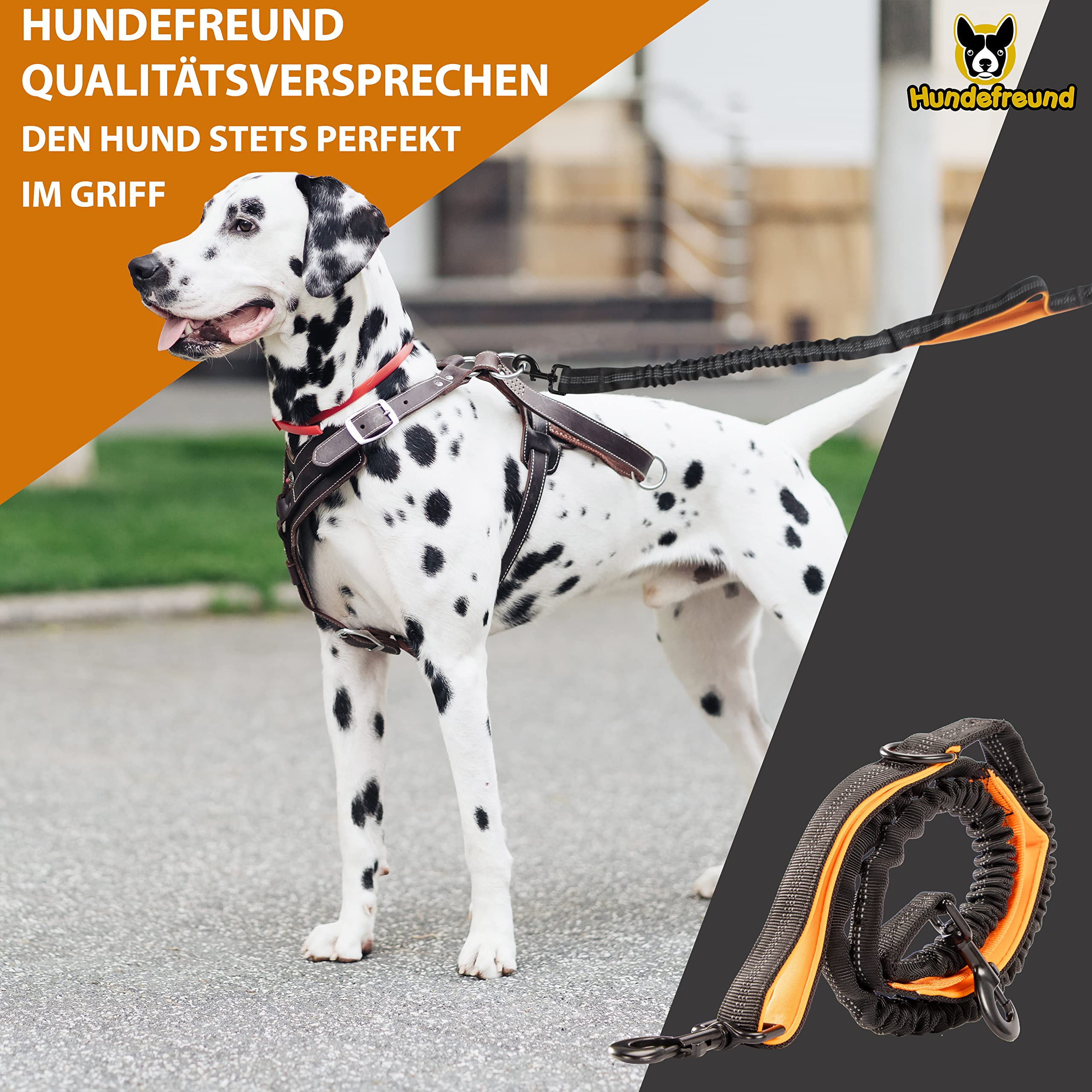 Hundefreund Joggingleine für große Hunde ab 15 kg | Elastische Freihandleine mit leichtem Bauchgurt | Abnehmbare Hundeleine mit 2 weichen Schlaufen | Orange Laufleine (120 cm, dehnbar bis 170 cm)