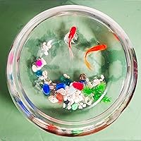 Vista 3 de Tanque de peces de vidrio de 2 galones, resistente y agradable pecera Betta, pequeños acuarios para pequeños peces ornamentales y reptiles, vidrio