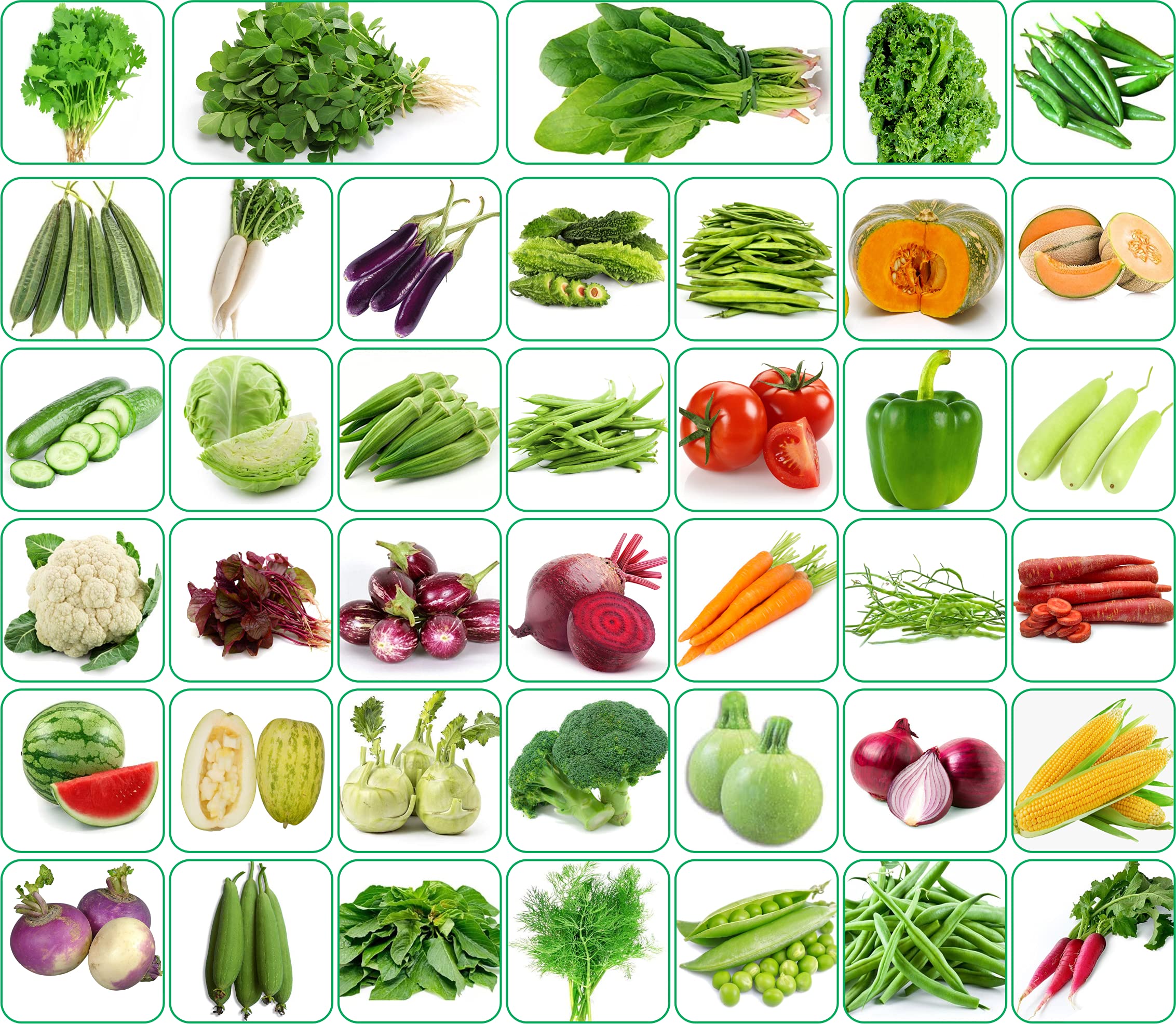 Agnico 40 Varieties of Vegetable Seeds 2600+ High Germination Seeds For Your Garden With Instruction Manual