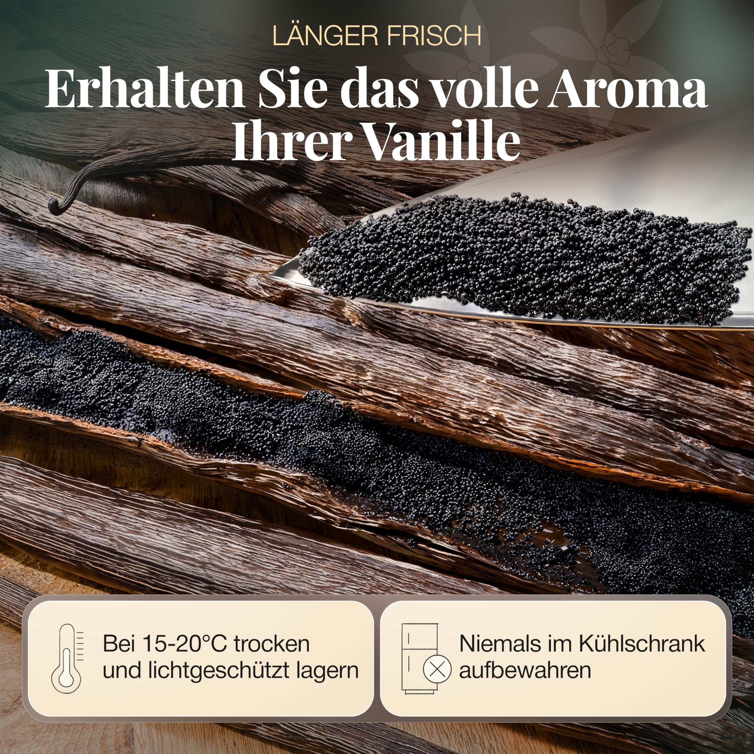 Bio Bourbon papryczki wanilii firmy PerSaf I w jakości premium I długość 15 - 18 cm I Świeże z Madagaskaru I Wanilia kucharzy I Wyłącznie naturalnie uszlachetniona (DE-ÖKO-006) (25 sztuk)