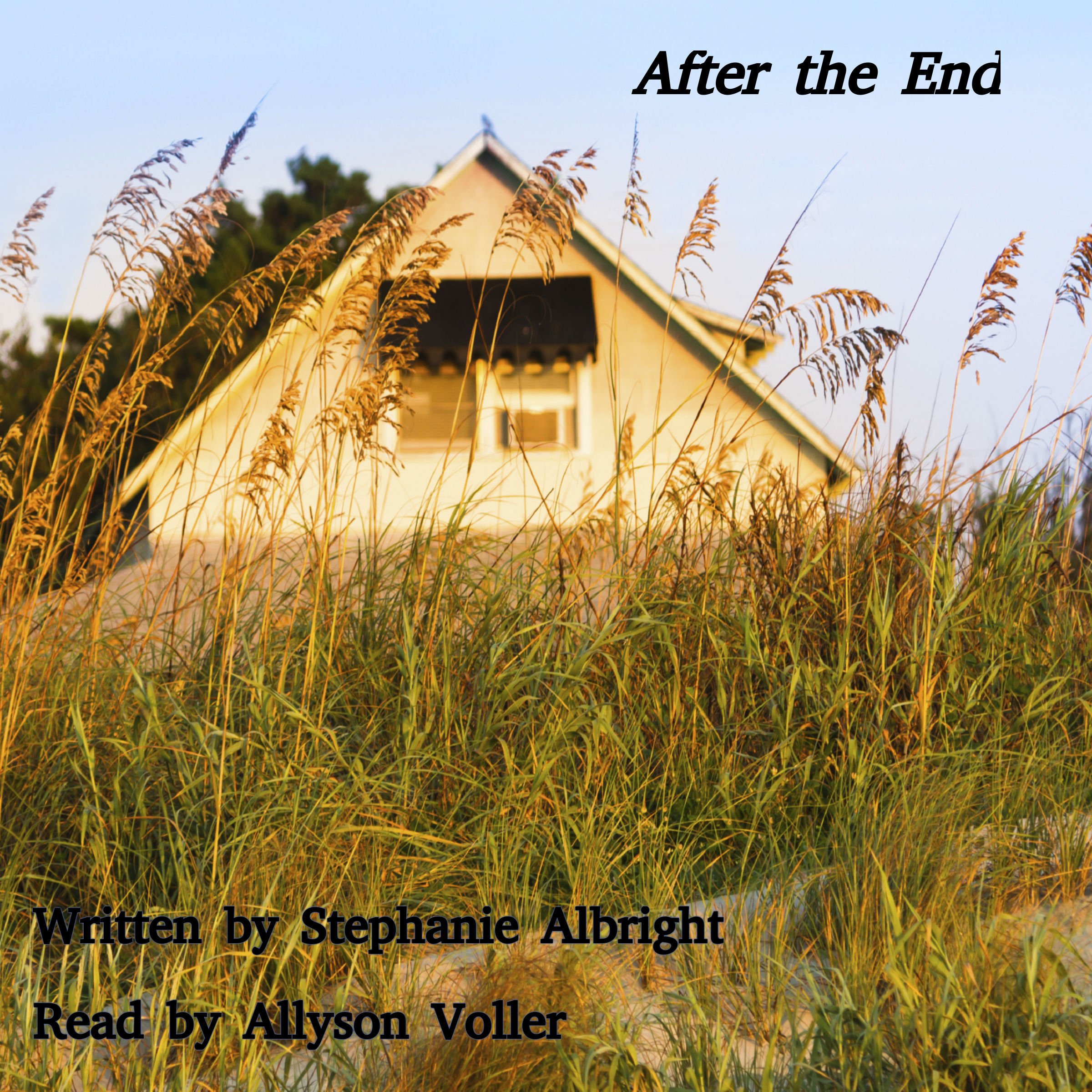 Cover art for After the End: An Apocalyptic Romance