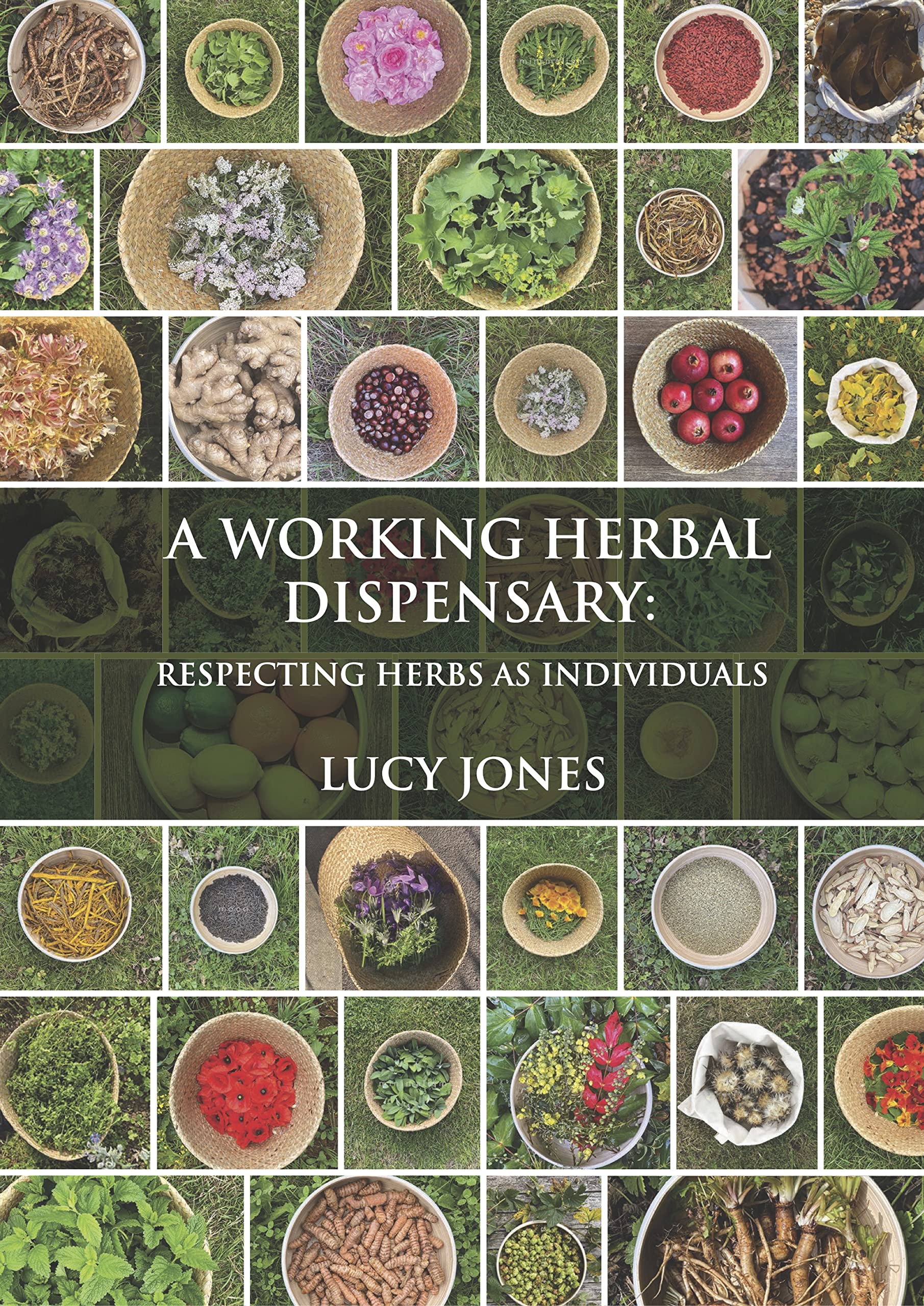 A Working Herbal Dispensary: Respecting Herbs As Individuals by Jones HB+-