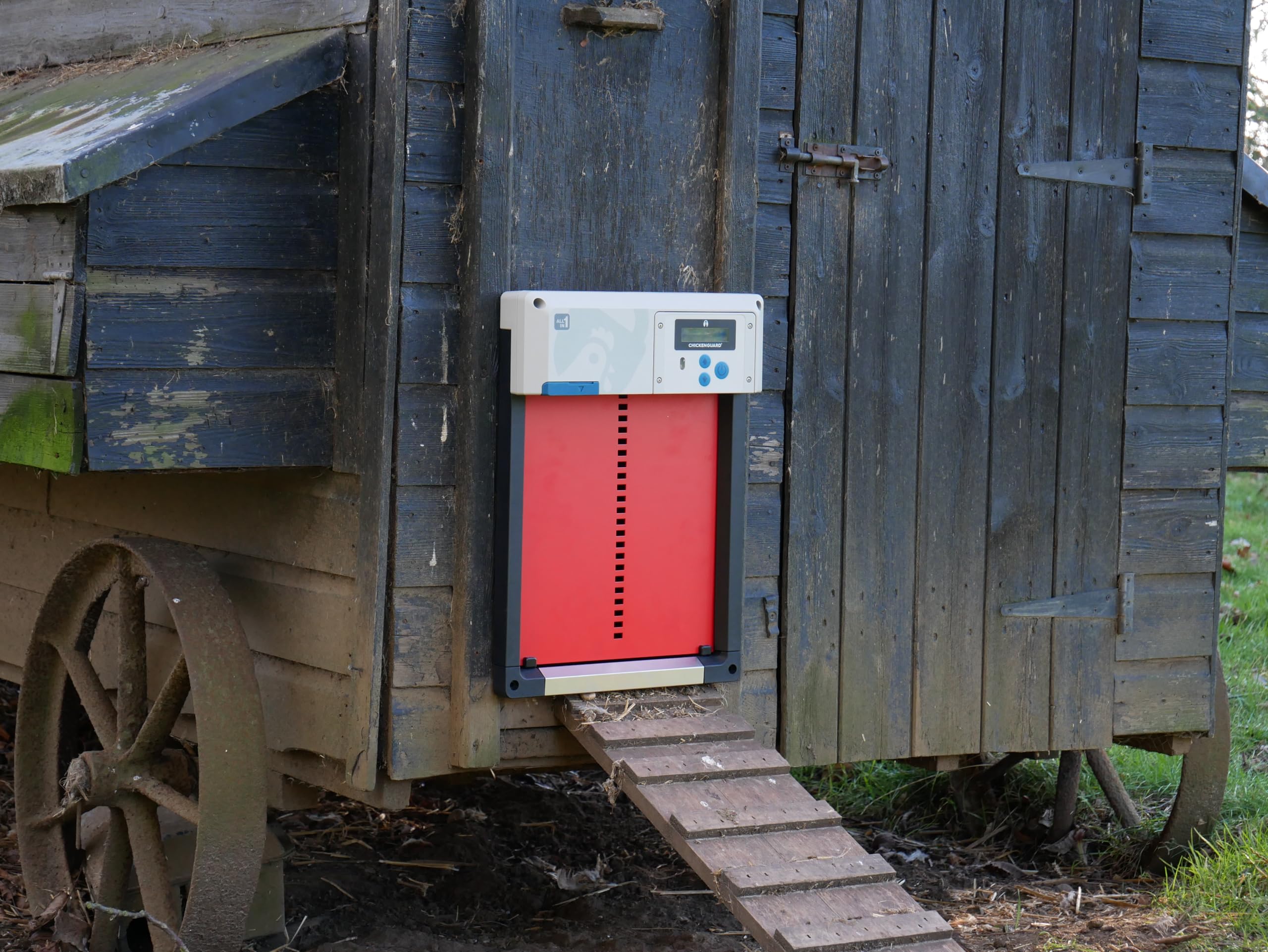 Hühnerklappe Automatisch ChickenGuard All-in-One, Hühnerstalltürfarben in Vier Farben, Timer/Lichtsensor, Auto-Stop, Raubtiersicher, Wintermodus-Power-Boost, Batterien Enthalten (Rot + Batterien)