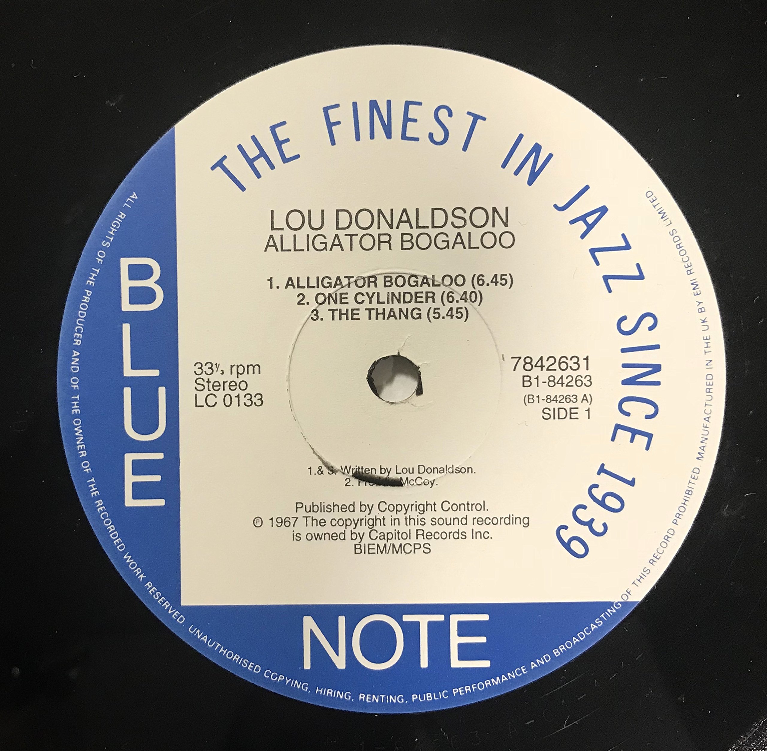 Alligator Boogaloo Analog]