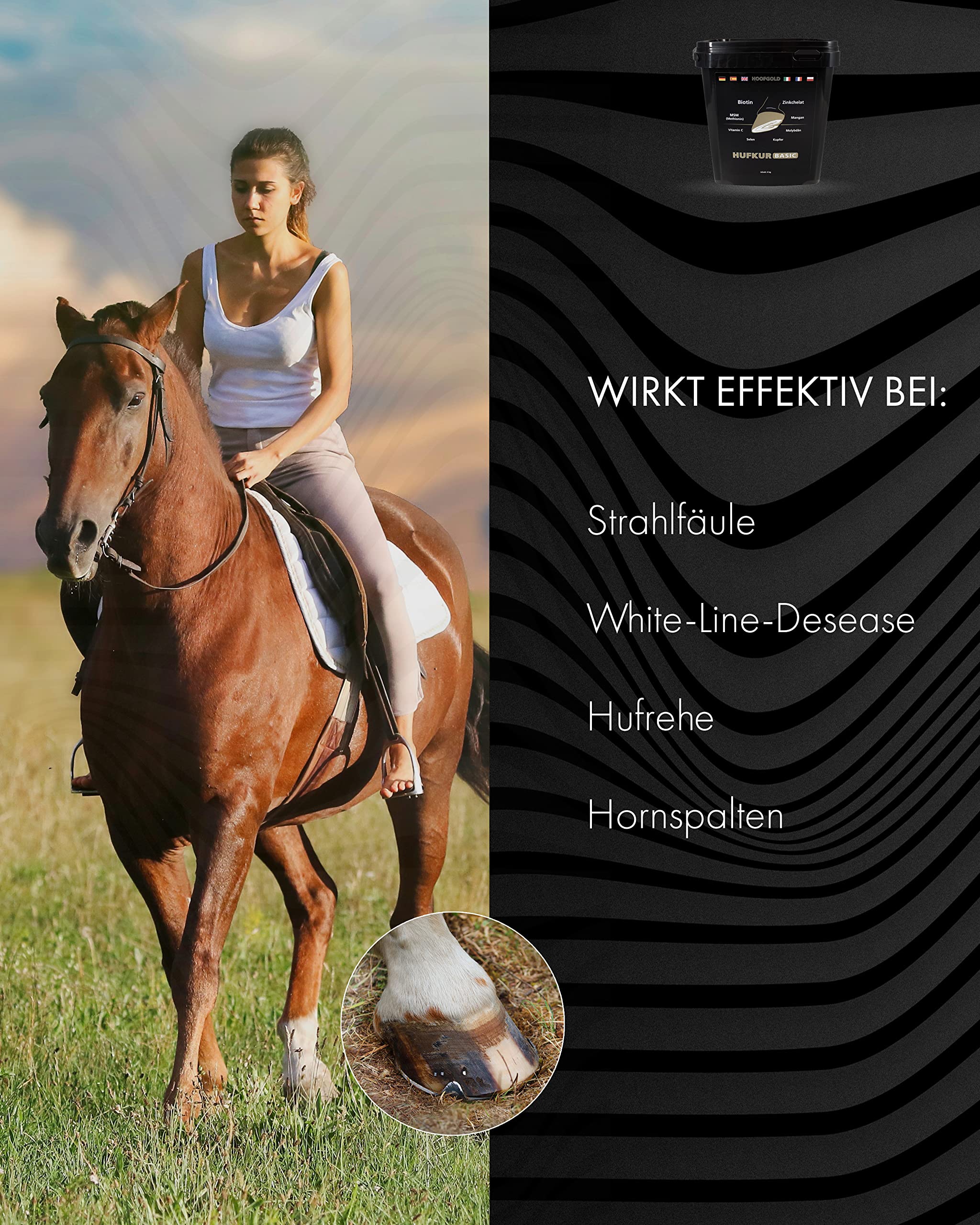 Complemento alimenticio para caballos - Refuerza el sistema inmunitario de los caballos - Antidoping - 4 kg de vitaminas para los pies