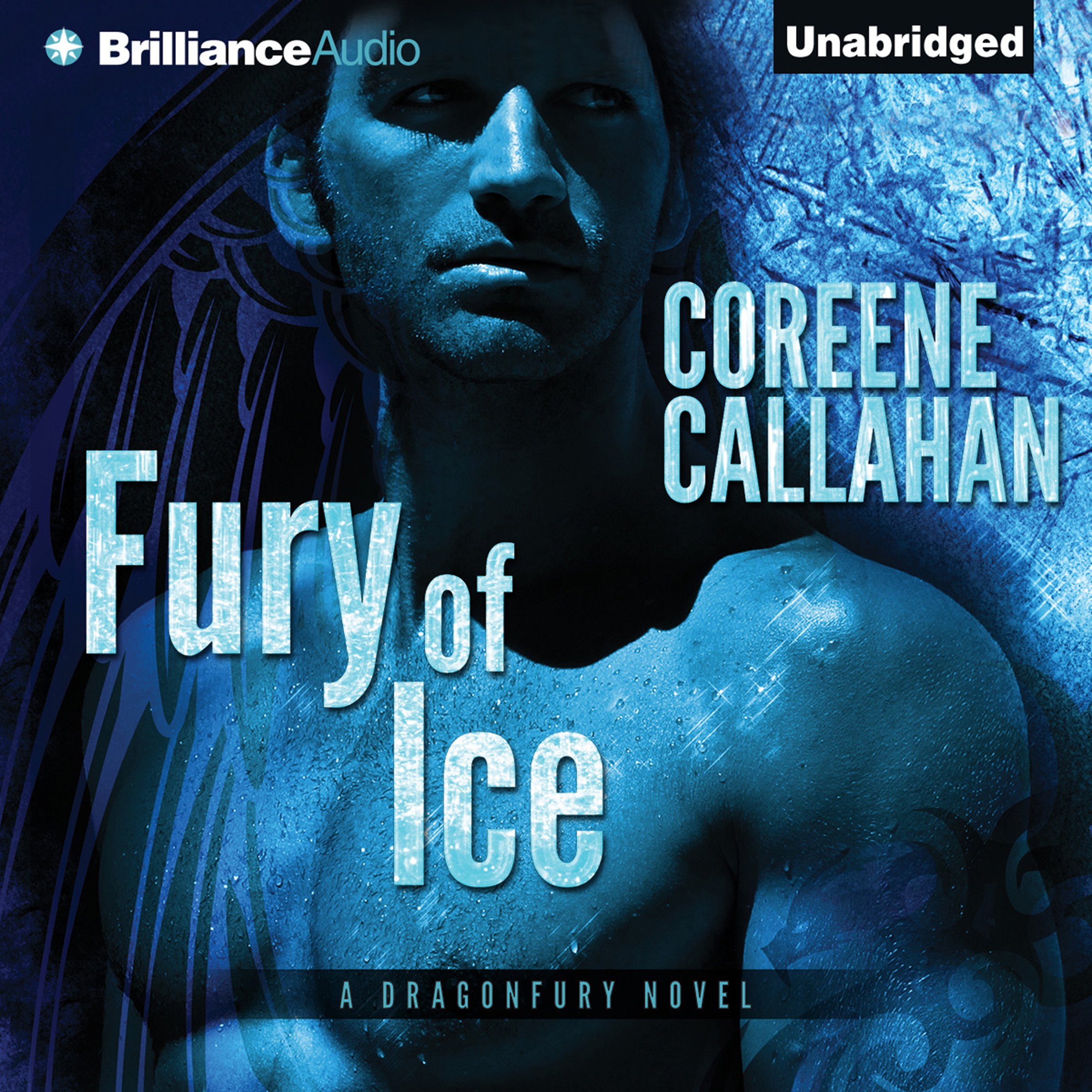 Cover art for Fury of Ice