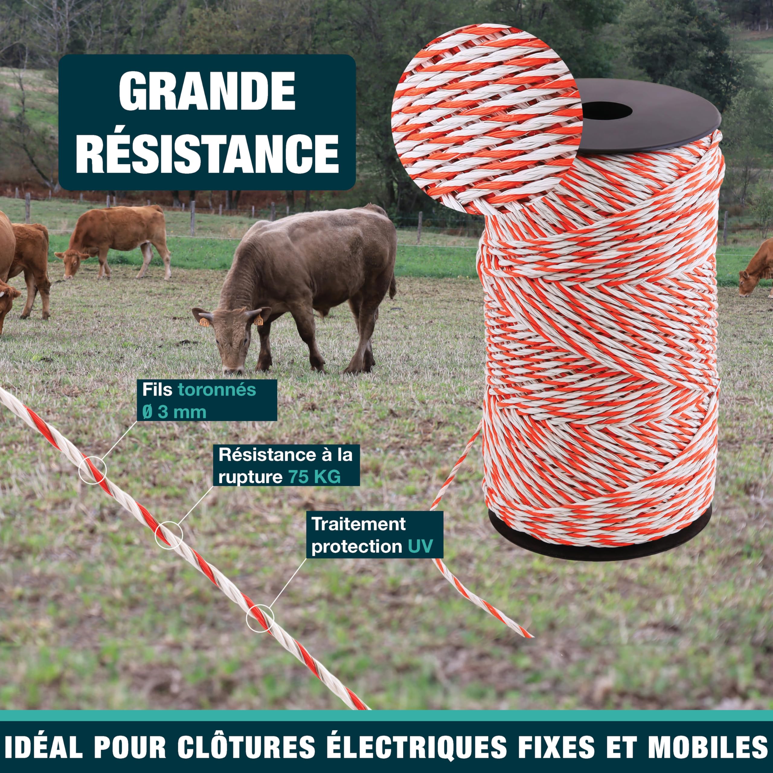 Kit Clôture Électrique Complet – Cordon 3 mm 200 m + 10 Piquets Plastique 87 cm – Haute Conductivité – Pour Chevaux, Moutons, Chèvres, Bovins