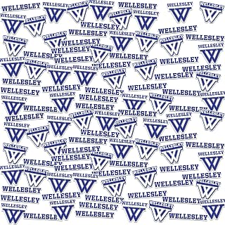 Wellesley College 100ct Vinyl Large Deluxe Stickers Variety Pack - Laptop, Water Bottle, Scrapbooking, Tablet, Skateboard, Indoor/Outdoor