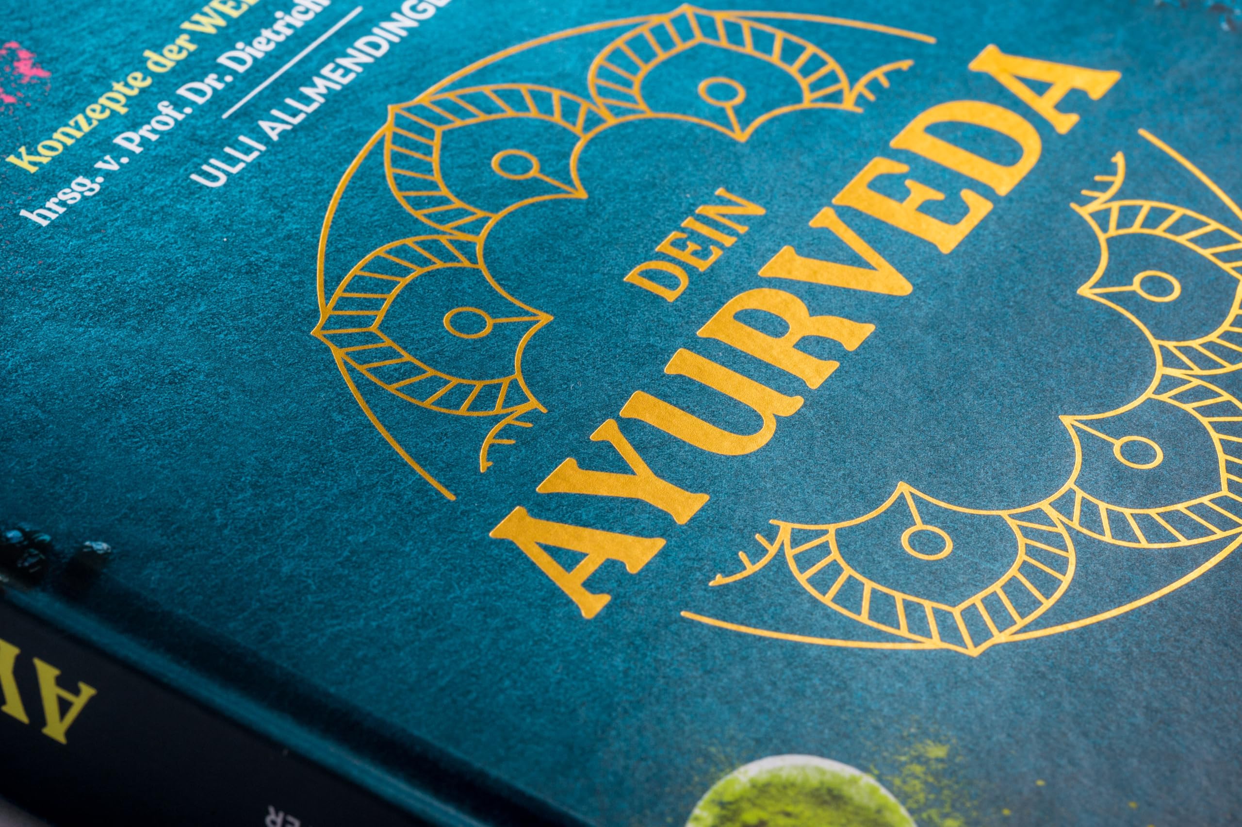 Dein Ayurveda: Das Praxisbuch für ein Leben in Balance
