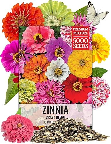 Miniatura 10 de Seed Needs Wildflower Seeds Cosmos Crazy Blend 1.5 onzas sin relleno Más de 10 variedades que incluyen conchas marinas, pureza y caramelo Cosmo