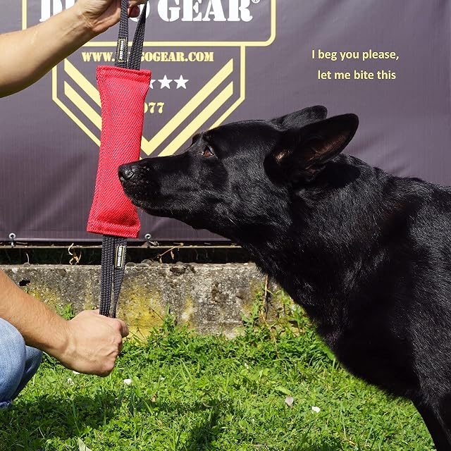 Foto 3 de 8 de Dingo Gear - Remolque de Nailon para Entrenamiento de Perros IGP IPO Schutzhund para búsqueda ciega de presas…