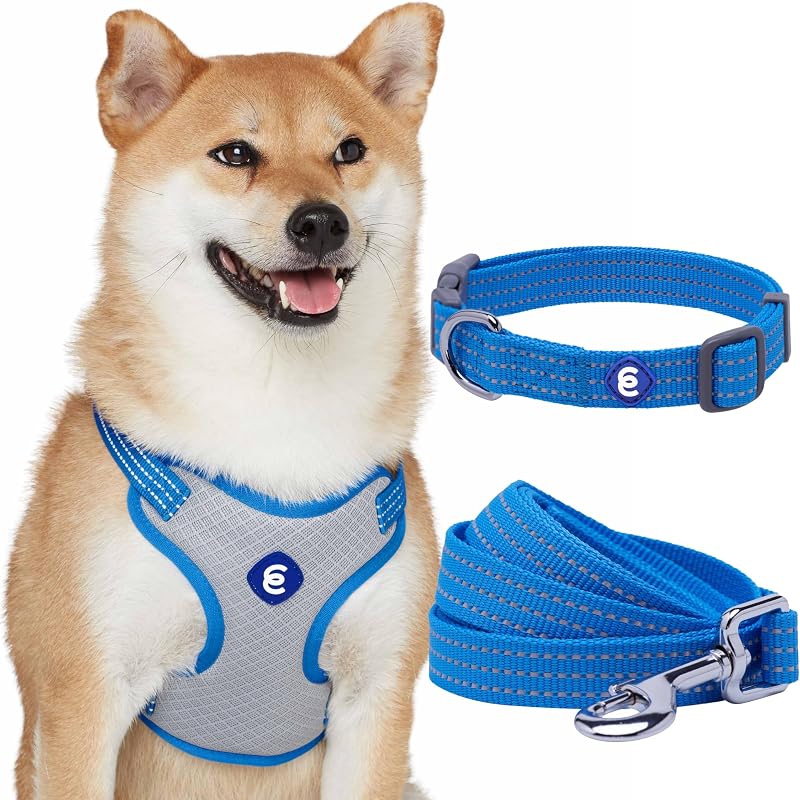 Blueberry Pet Essentials Juego de arnés, correa y collar reflectante para perros medianos, azul francés, arnés ajustable para perros y correa para perros de 5 pies, elementos esenciales para cachorros, collares para perros pequeños