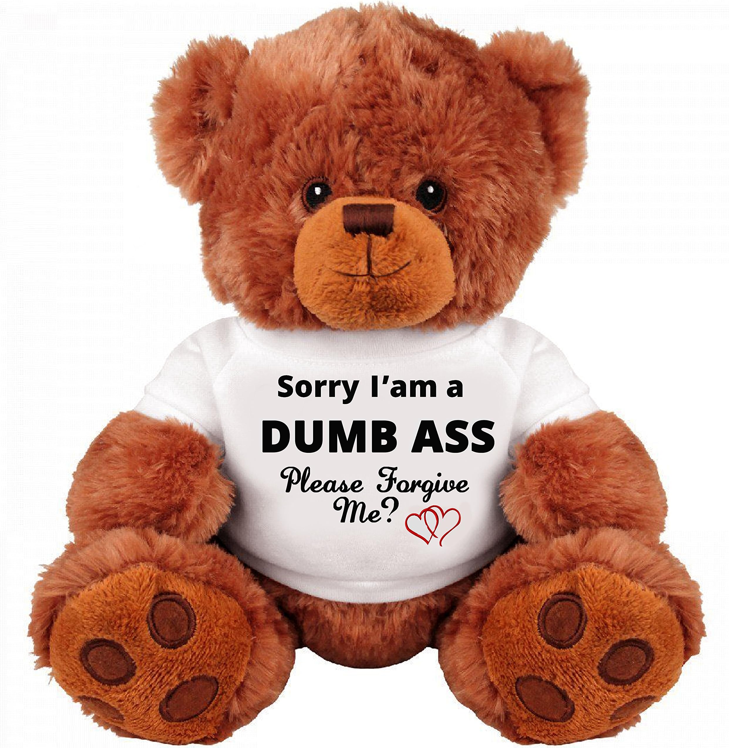 SinMan Sorry and Forgive Me Gift: Funny Teddy Bear Couple Gift: Medium Teddy Bear Stuffed Animal