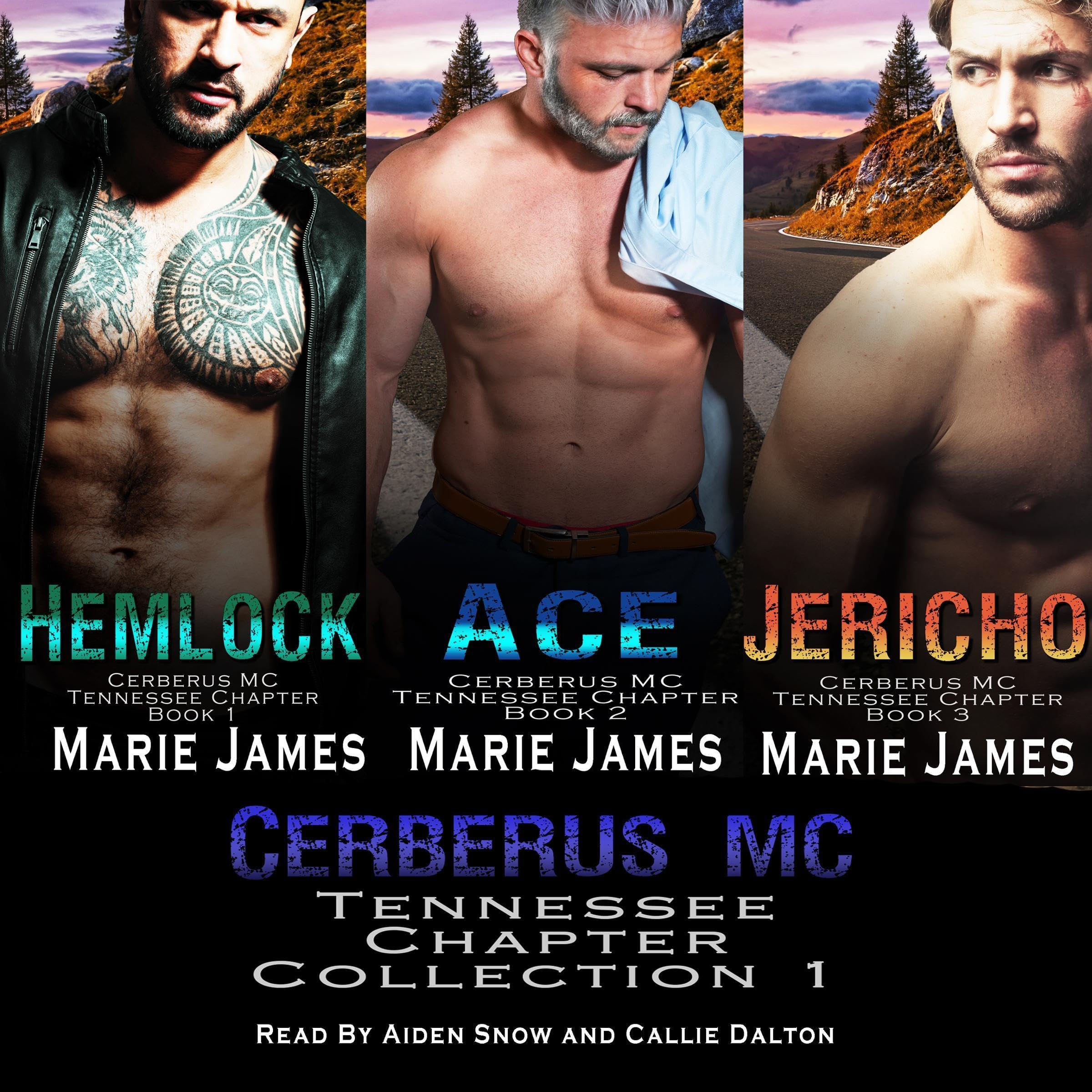 Cover art for Cerberus MC Tennessee Chapter Collection 1