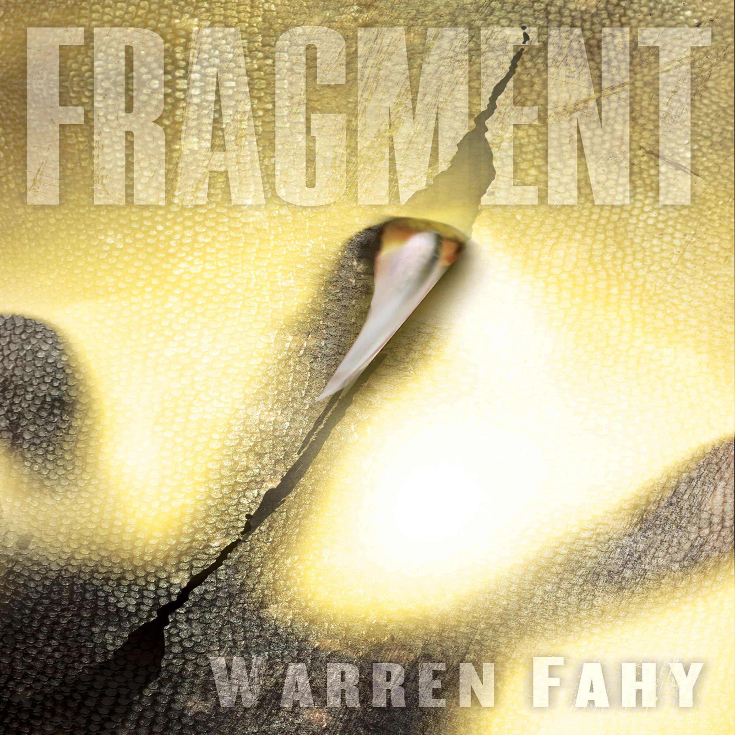 Cover art for Fragment