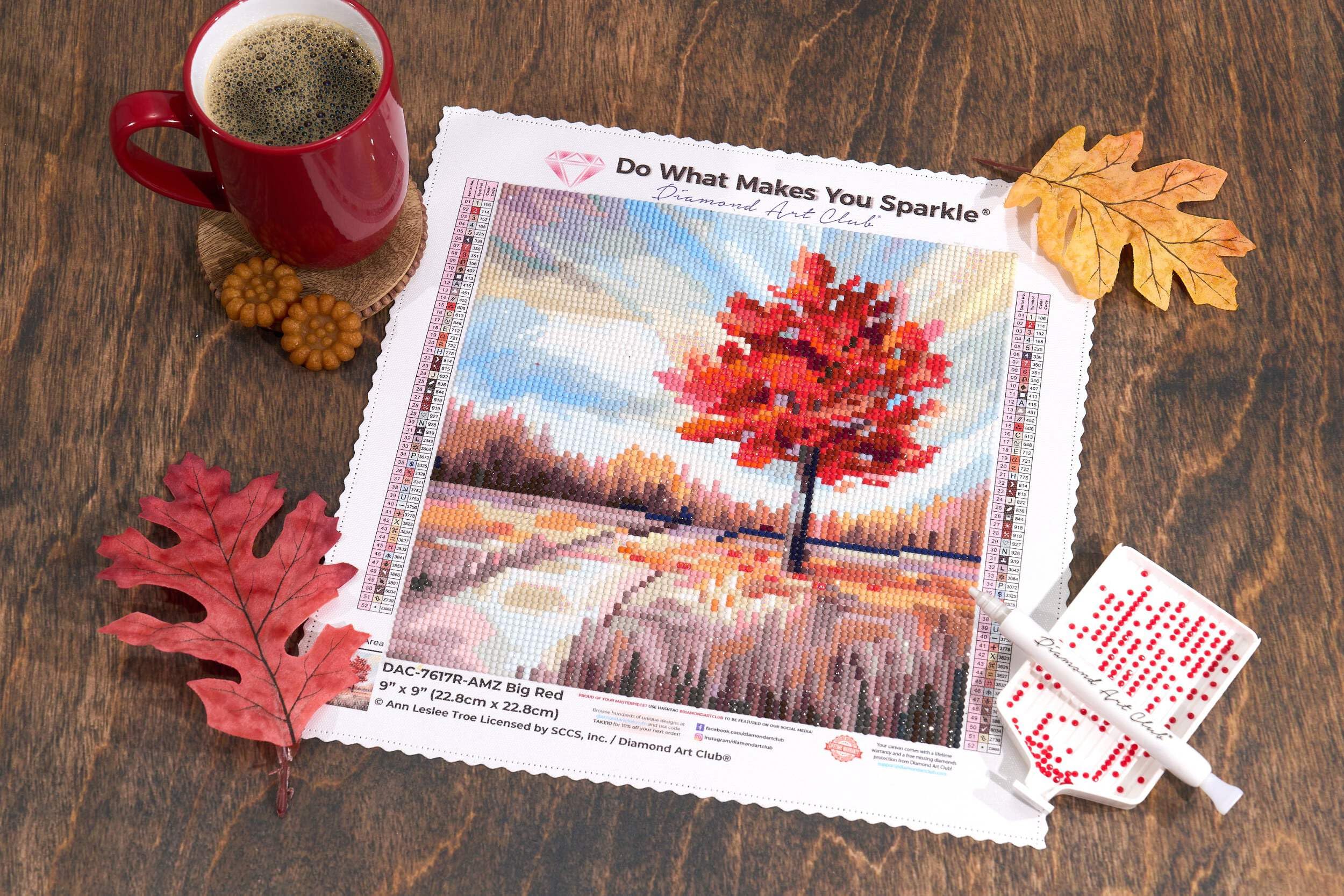 Amazon.com: DIAMOND ART CLUB Big Red Diamond Painting Kit