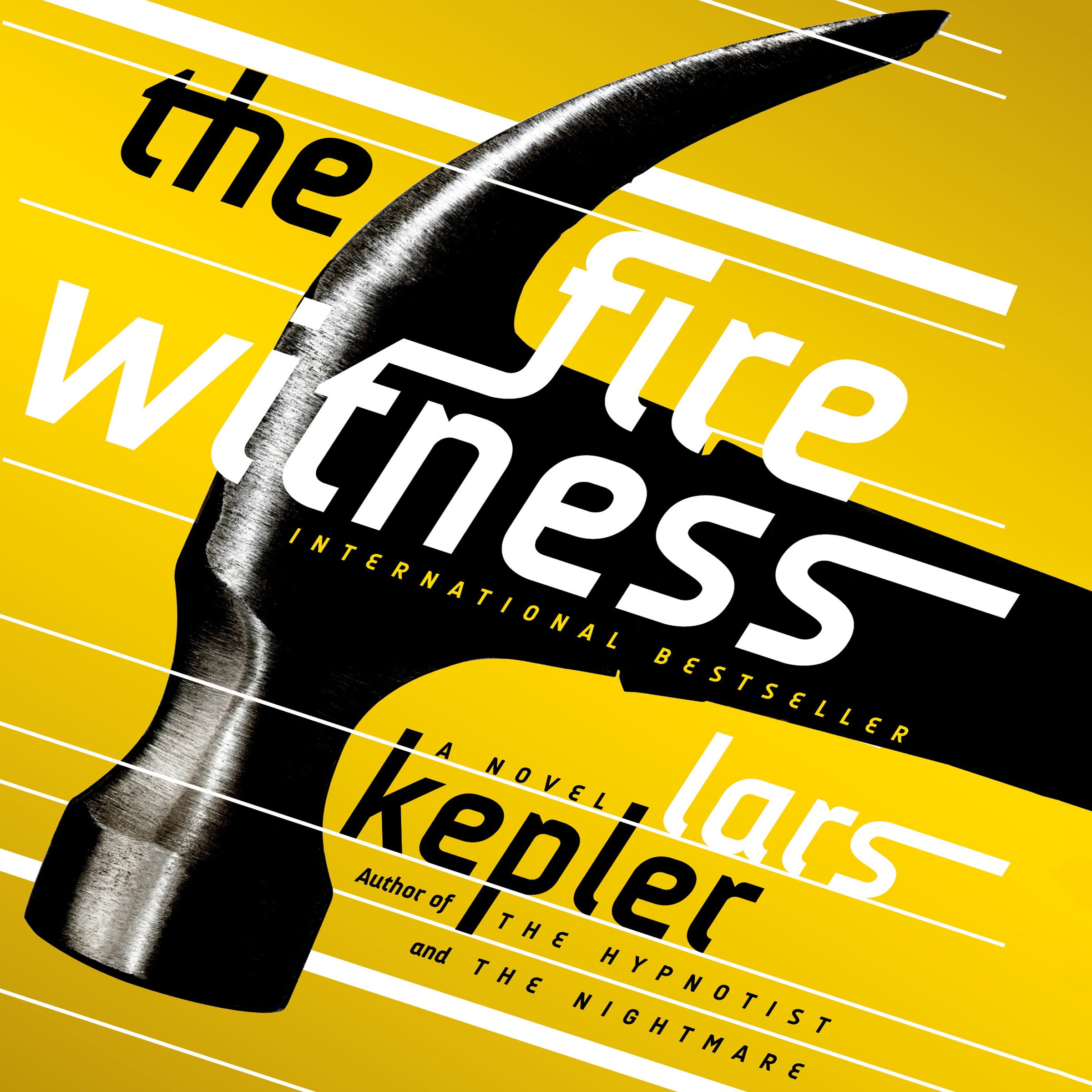 Cover art for The Fire Witness