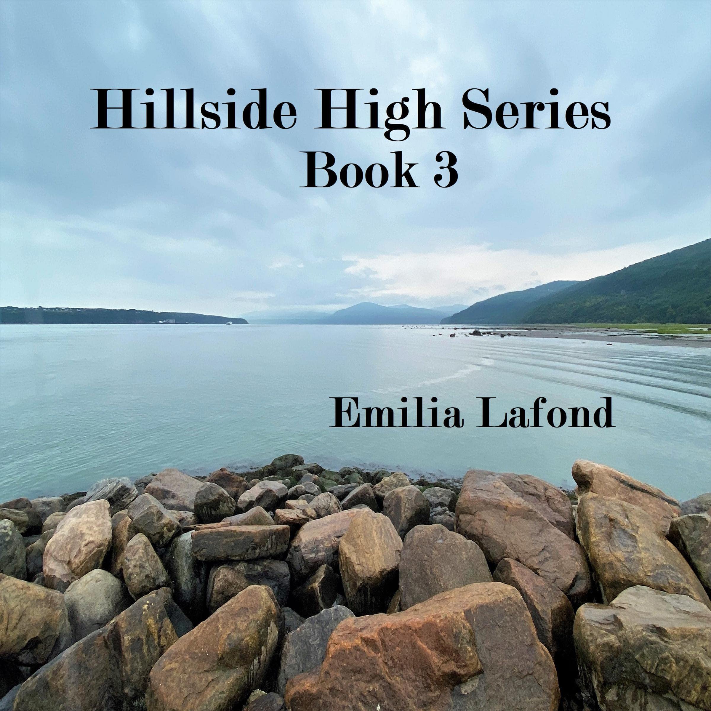 Cover art for Hillside High - Book 3