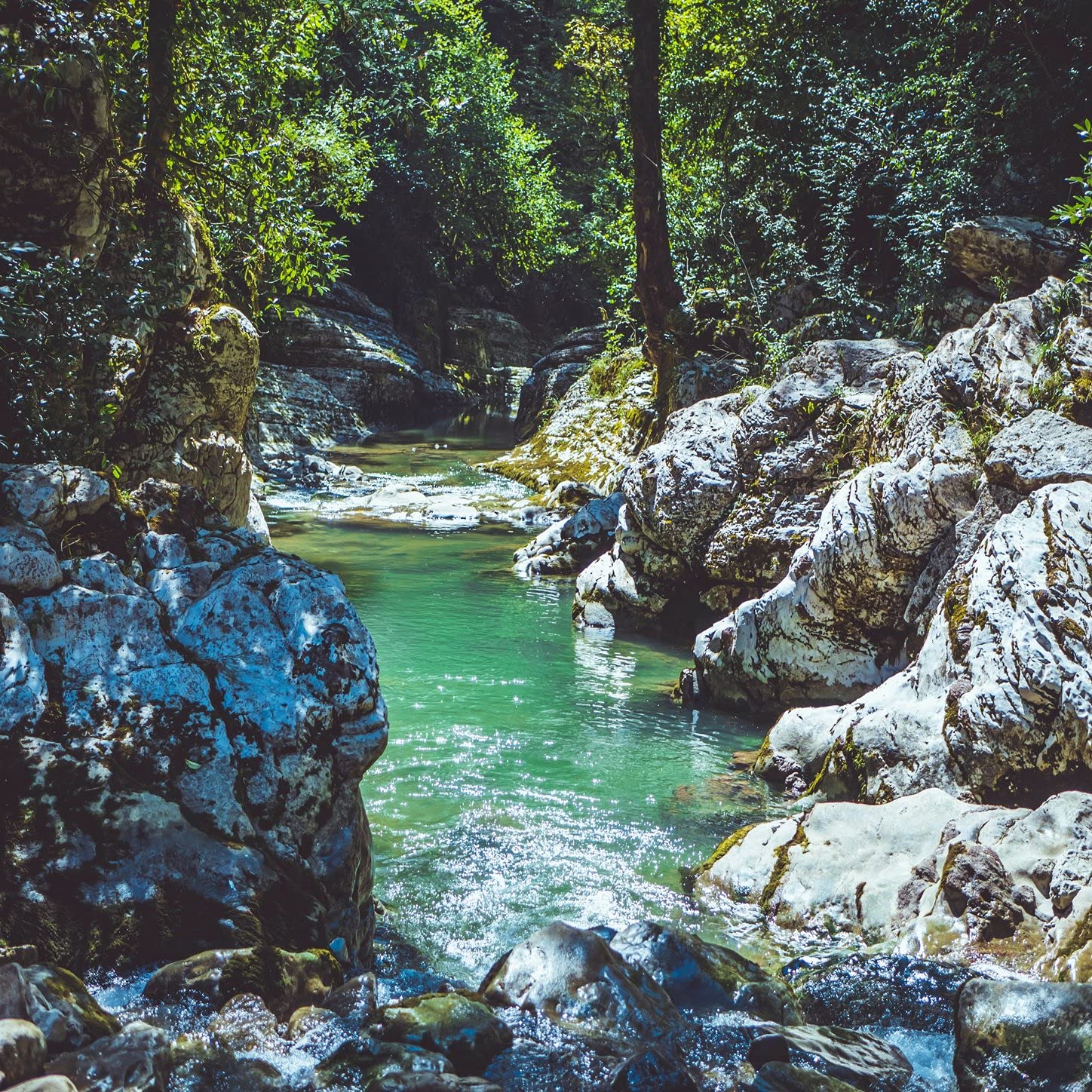 Lumy's Guided Imagery Meditation