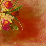 zanias Various difficulty levels Zania