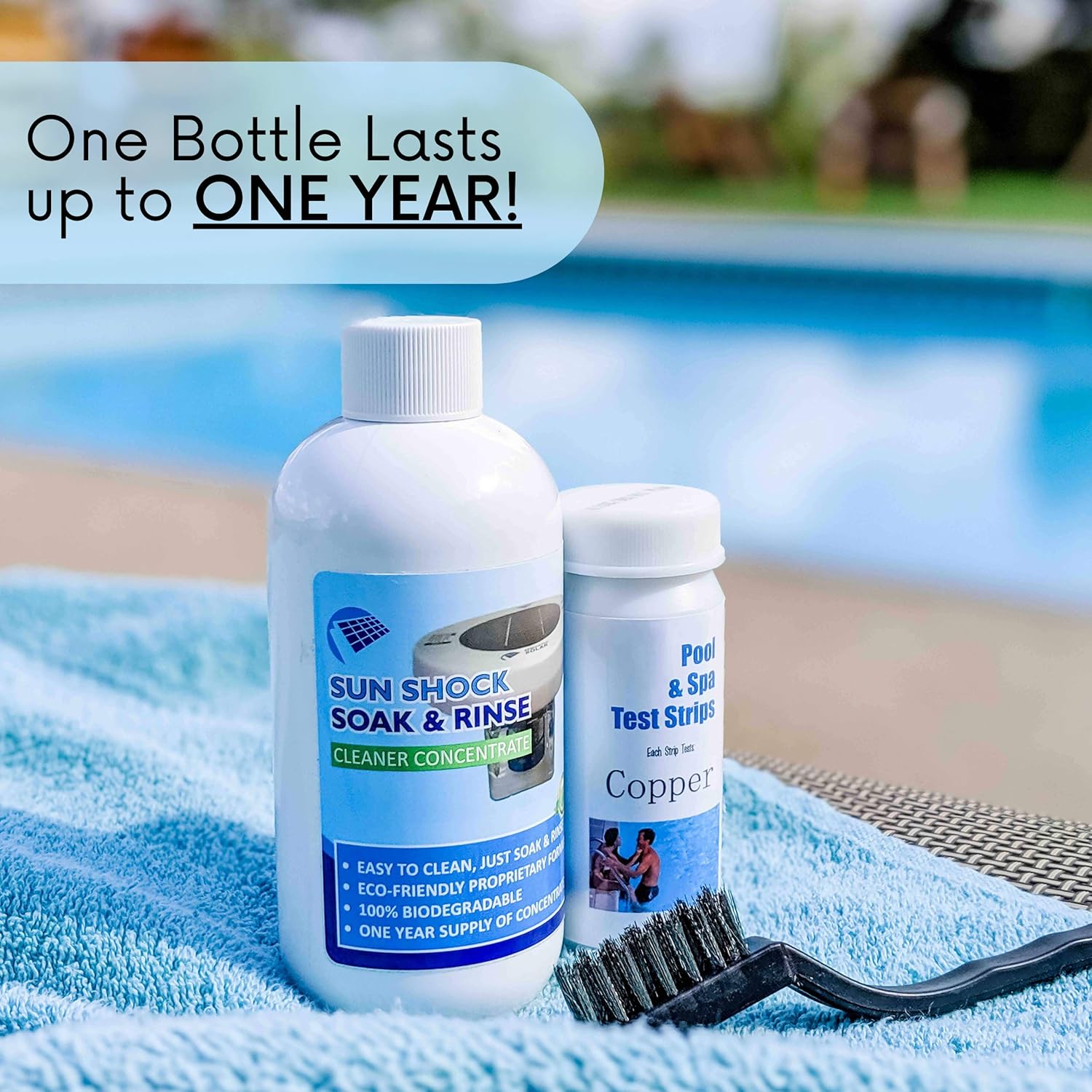 Copper Anode, Basket, and Coil Cleaner - Easy to Use, Prolongs the Electrode (8oz) - Cleans Your Solar Pool Ionizer's Basket and Electrode, All at Once - Sun Shock Soak and Rinse