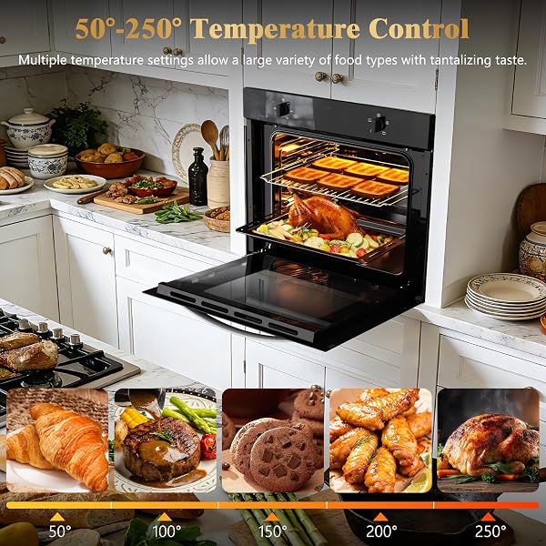 Hobsir Electric Oven, 65L Built-in Oven 4 Functions Knob Control 2000W Plug and Play 220~240V 60cm Wide [Energy Class A] - 4