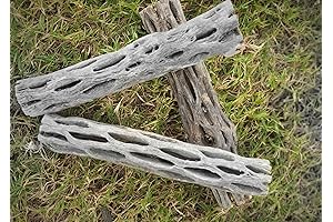 Hexagrowth Cholla Wood: Essential Habitectual Enhancement for Your Valued Pets