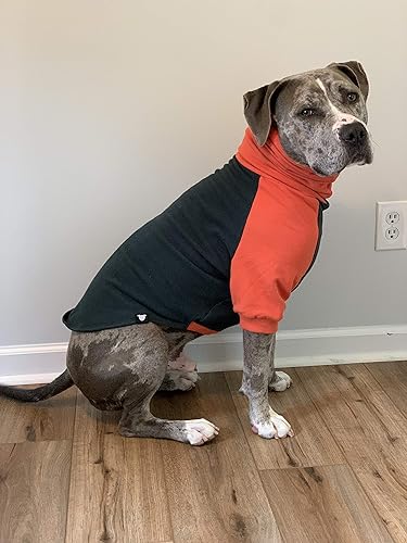 Miniatura 8 de Tooth and Honey - Suéter para perro grande Pitbull, sudadera para perro, color verde oscuro y naranja (talla XL)