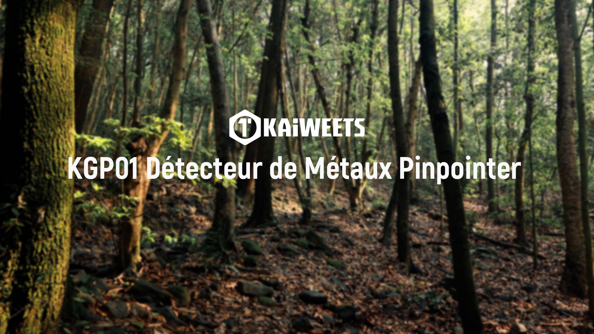 KAIWEETS Détecteur De Métaux Pliable – Rechargeable, Étanche