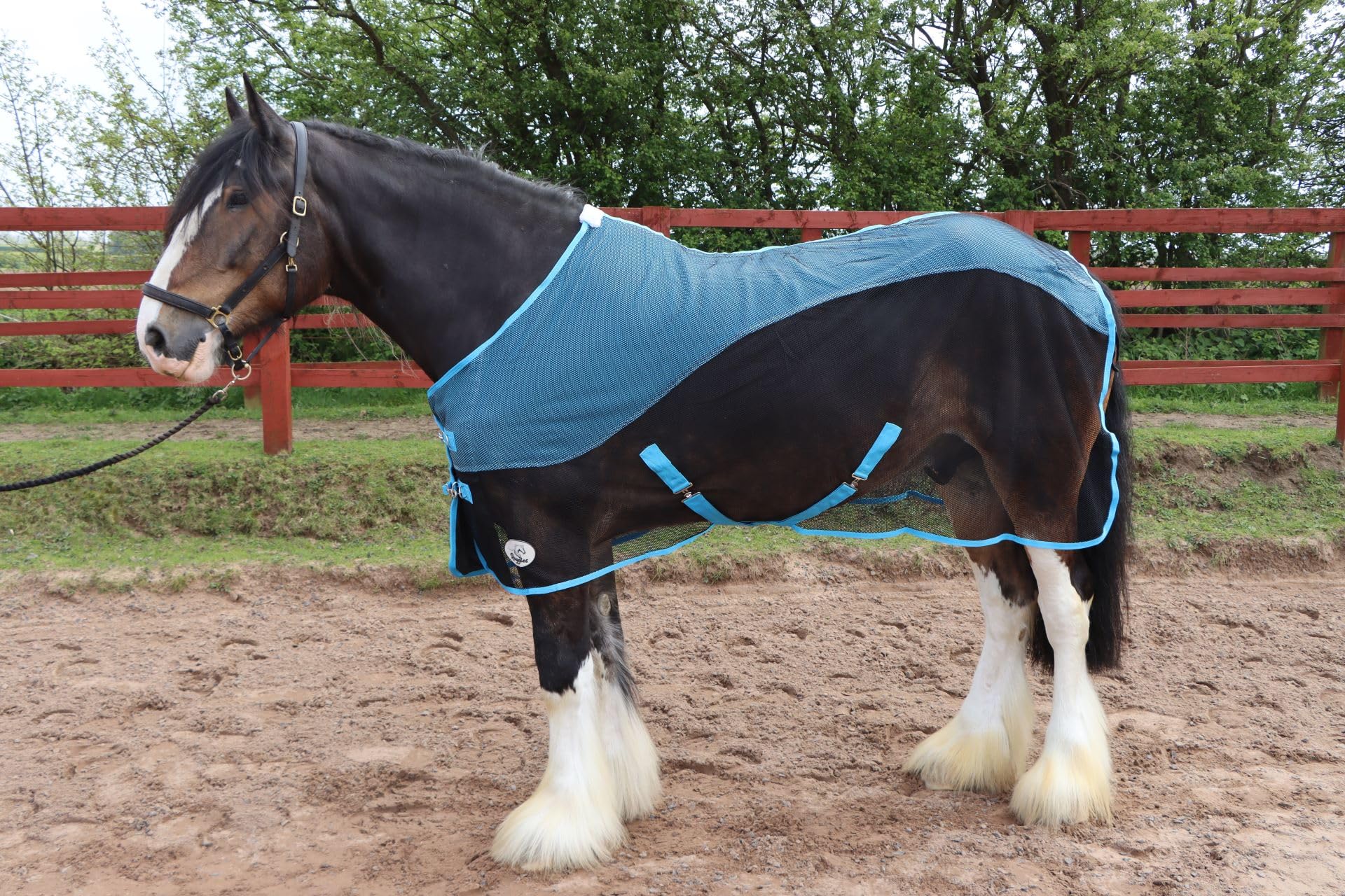 Ruggles Fleece/Mesh Cooler Rug for Heavy Horses - Shire Clydesdale Percheron etc | Ideal for Travel Stable Cooling/drying after Exercise or Bathing (Black/Sky Blue, 6')