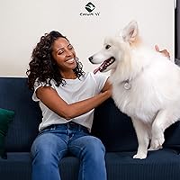 Vista 504 de CHUN YI - Funda elástica para sofá (7 piezas), funda para sofá de 3 plazas con tres respaldos y cojines separados con banda elástica, tela jacquard