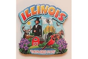 Illinois State Montage Wood Fridge Magnet 2