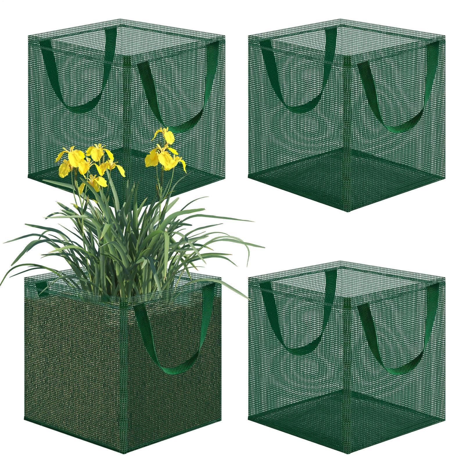 Panier pour bassin aquatique : créez un magnifique jardin de nénuphars