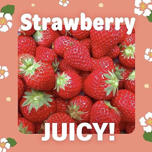 Vista 13 de YAMASAN KYOTO UJI Jelly Fruit Mochi, caramelo tradicional japonés, envuelto individualmente, trabajos artesanales, 100% ciruela Ume japonesa, 10.58