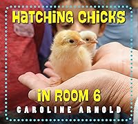 Algopix Similar Product 3 - Hatching Chicks in Room 6 Life Cycles