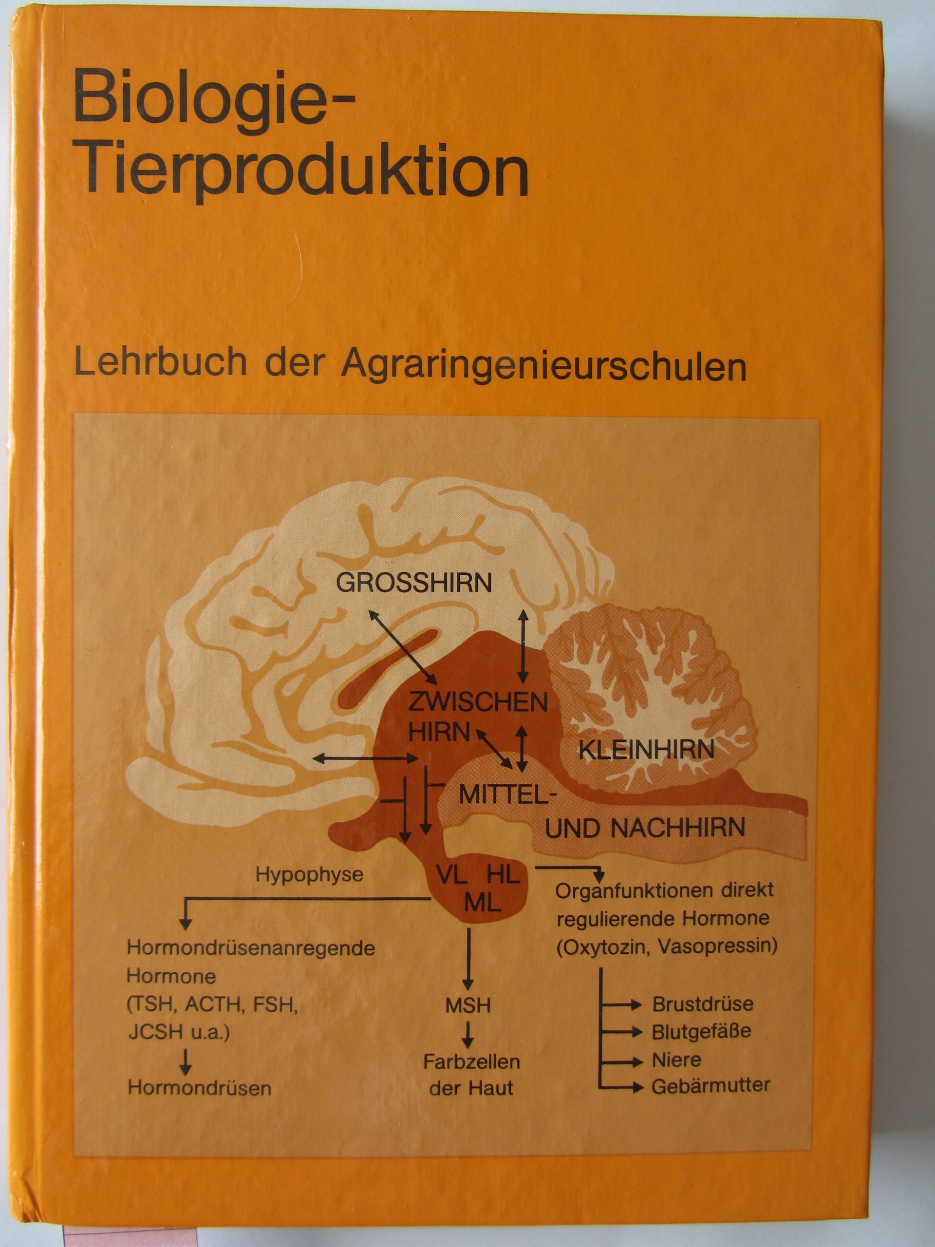 Biologie - Tierproduktion