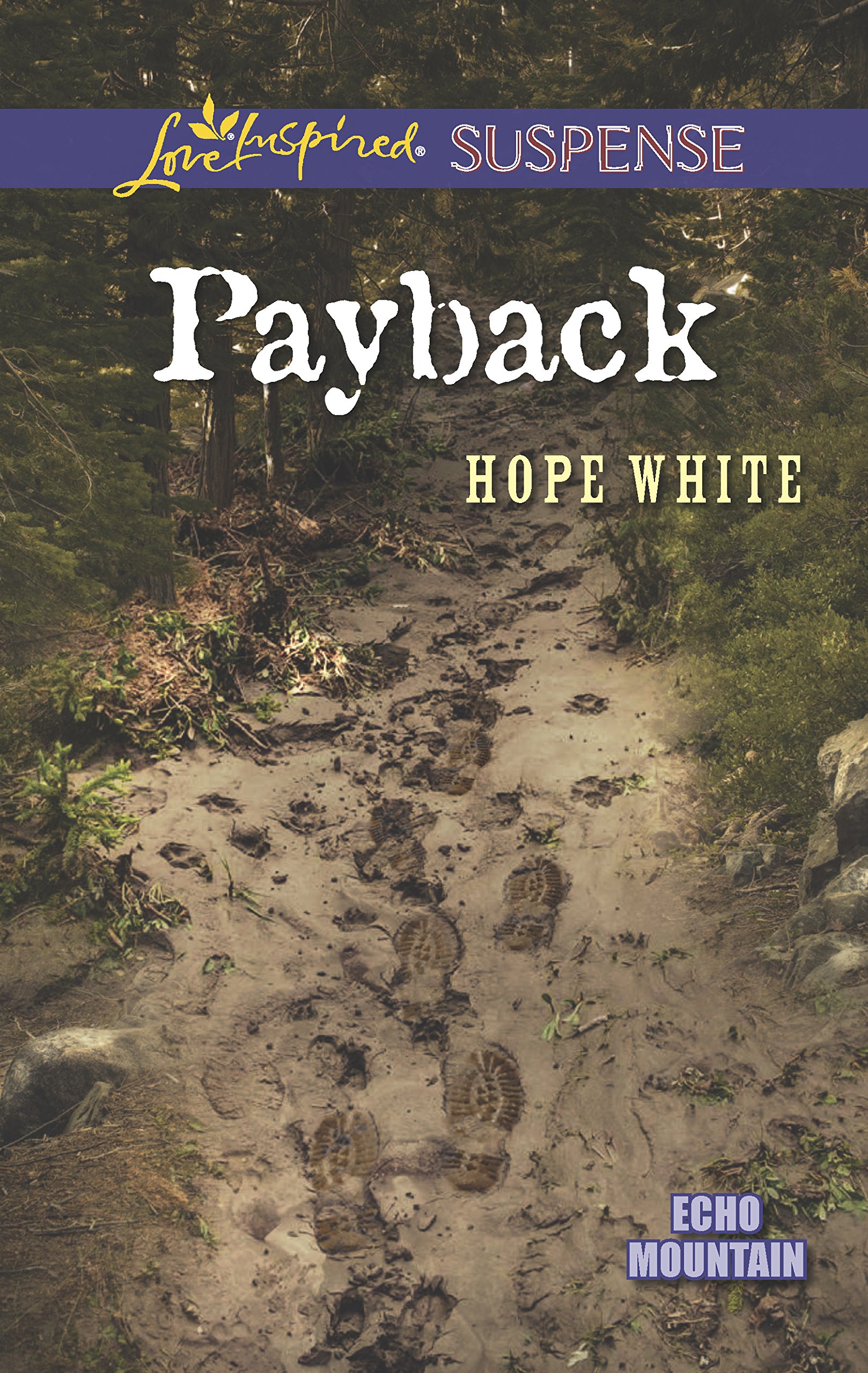 Payback (Echo Mountain, 3)