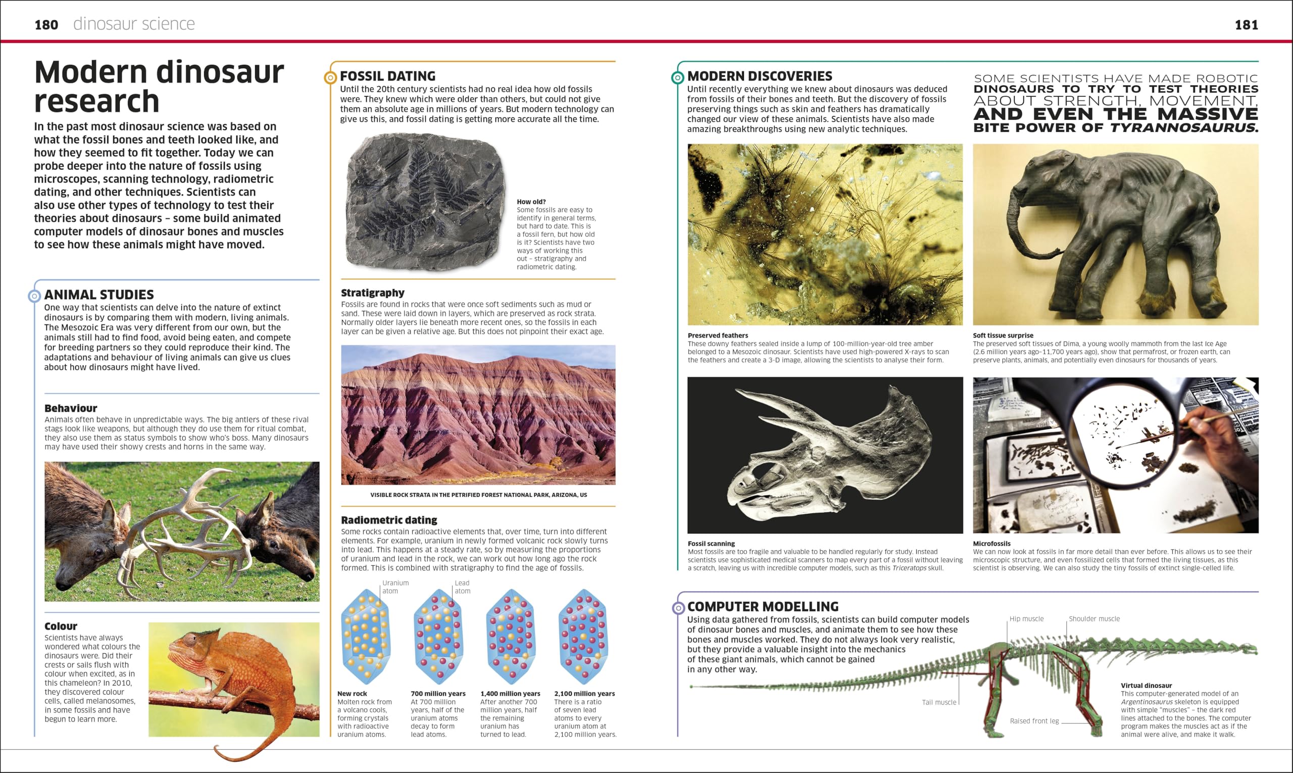 Knowledge Encyclopedia Dinosaur!: Over 60 Prehistoric Creatures as You've Never Seen Them Before (New Edition) (DK Knowledge Encyclopedias)