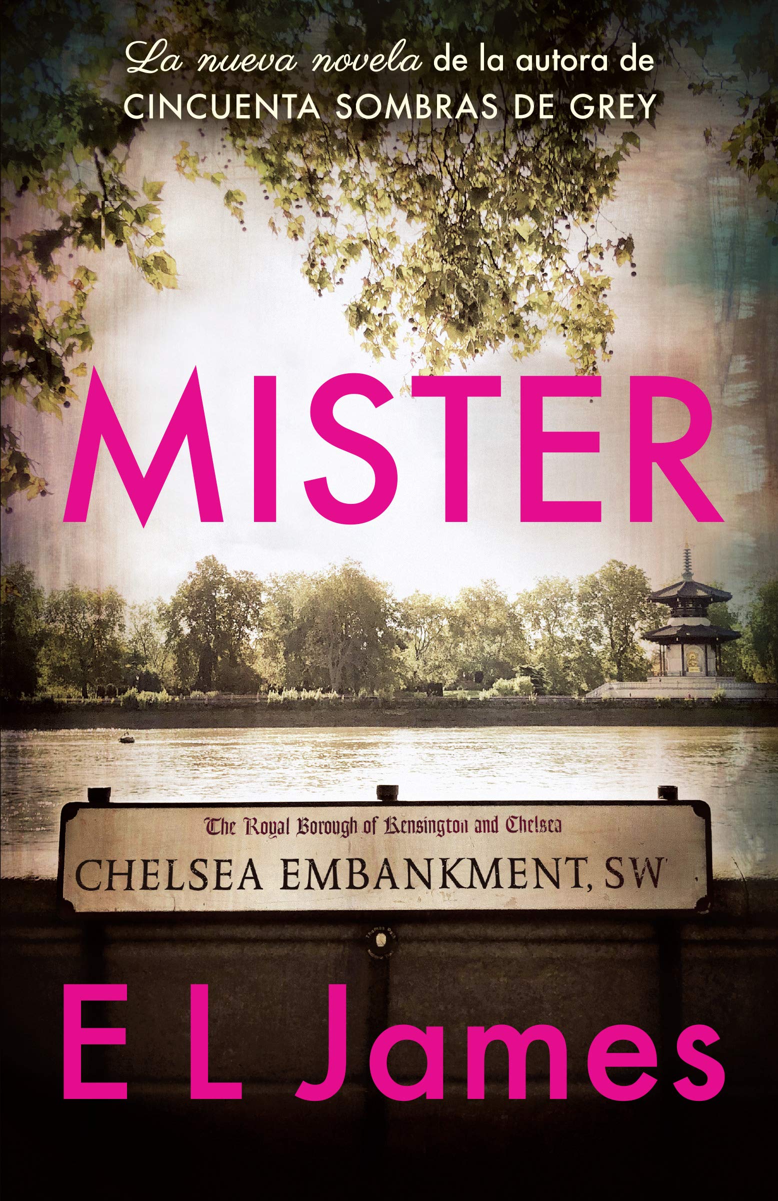 Mister (edición en español) (Mister 1) (Spanish Edition)