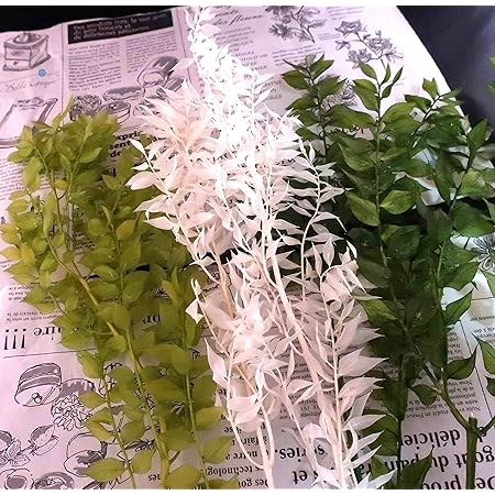 Amazon めぐみ工房 北海道ドライフラワー ブリザード ハーバリウム ラスカス３色セット プリザーブドフラワー プリザーブドフラワー オンライン通販